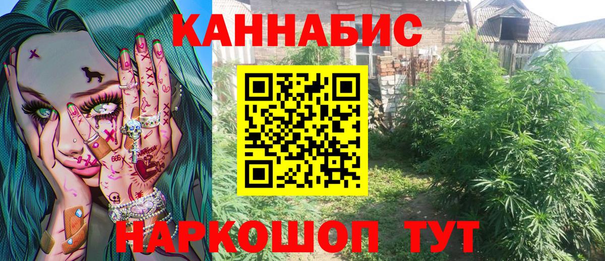 Бошки Шишки THC 21% Елизово